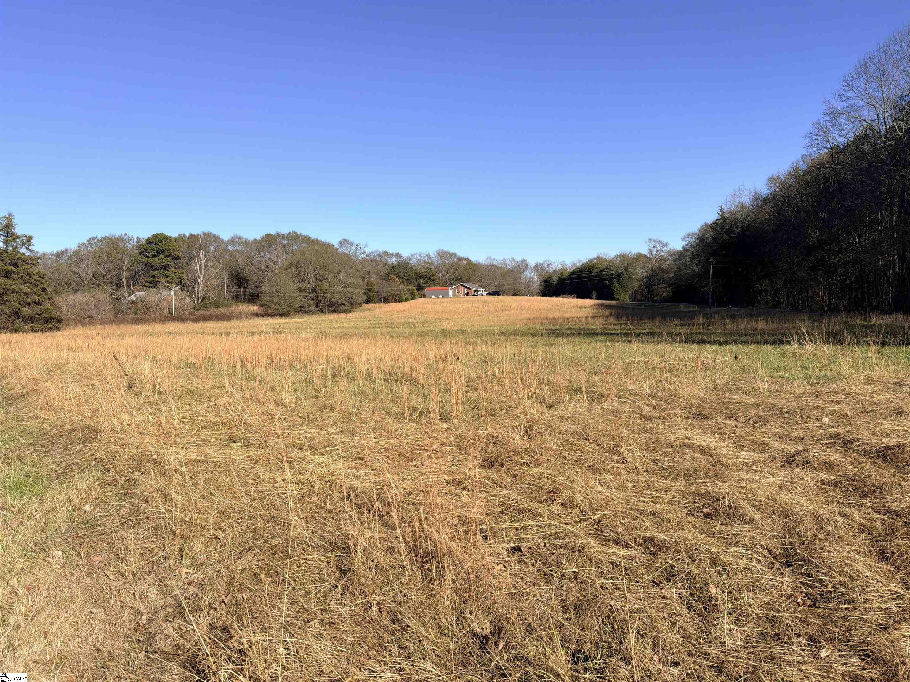 0 Highway 101, Unit LOT 4 Woodruff, SC 29388 - Photo 2 of 4