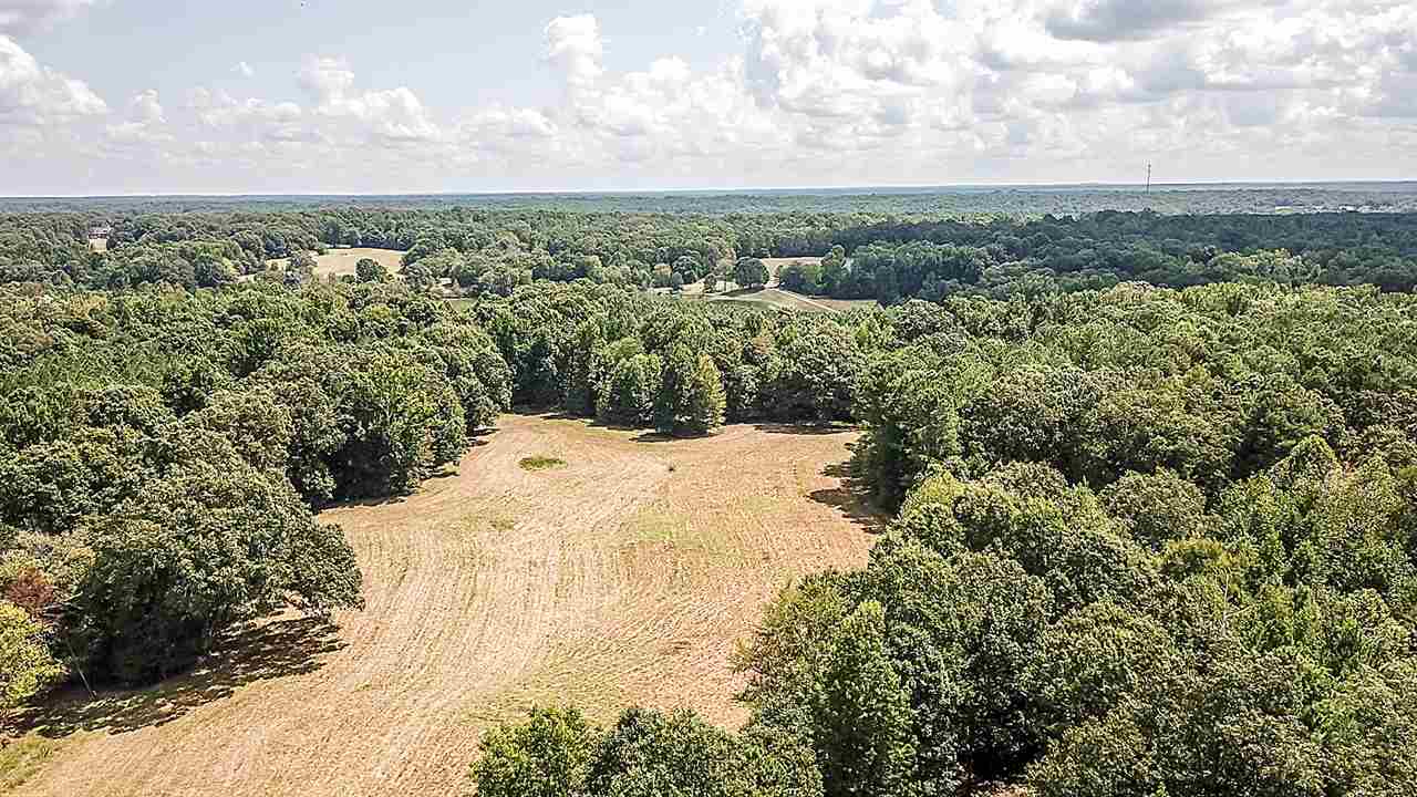 3640 McKinstry Road Moscow, TN 38057 - Photo 22 of 25 Gallery Image 22