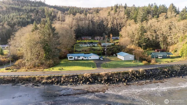 a view of a yard with large trees