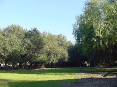 906 Daly Road Ojai, CA 93023 - Photo 3 of 3 a view of a yard