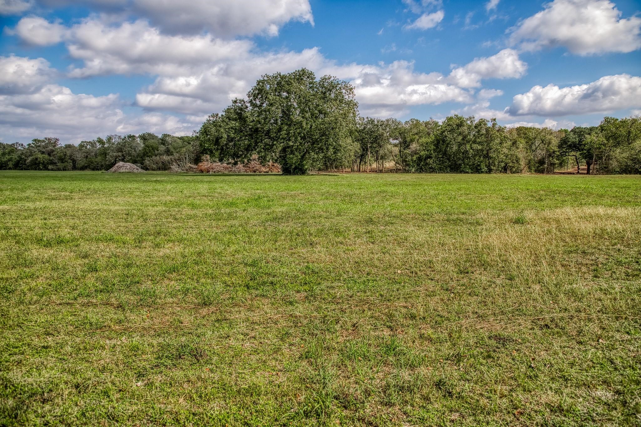 0 Sun Oil Road Brenham, TX 77833 - Photo 10 of 26 a view of a garden