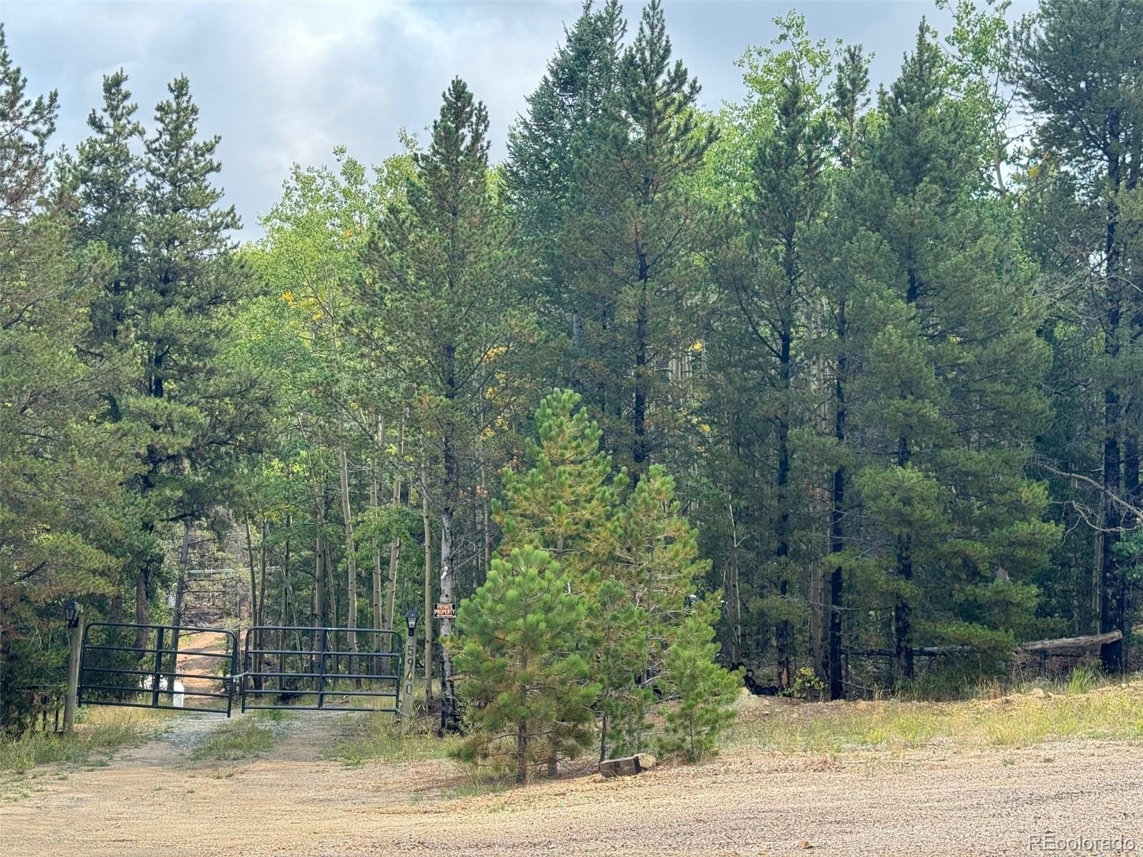 3 Virginia Canyon Road Central City, CO 80427 - Photo 12 of 12 a view of a yard with trees