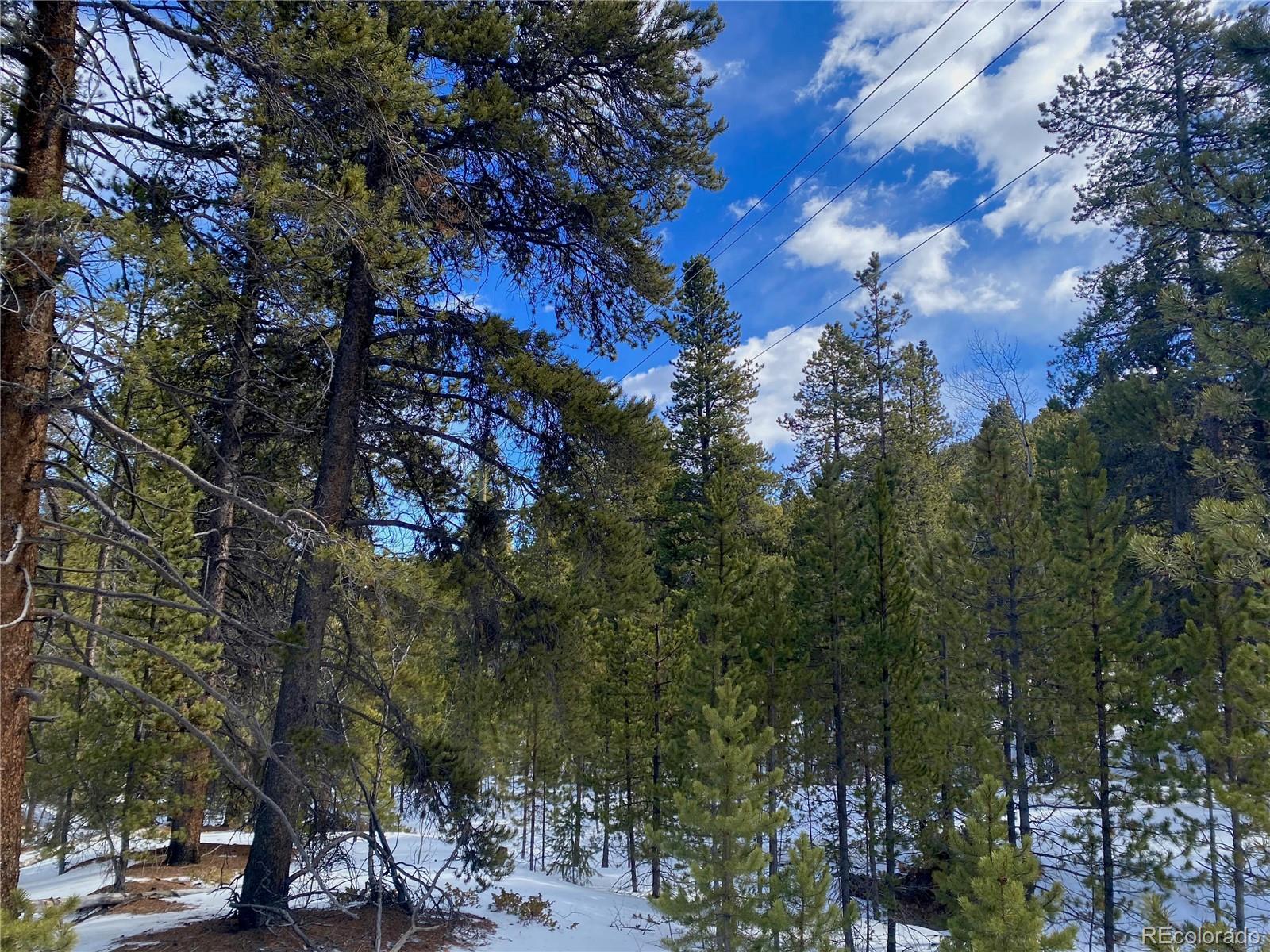 3 Virginia Canyon Road Central City, CO 80427 - Photo 10 of 12 a view of road with trees