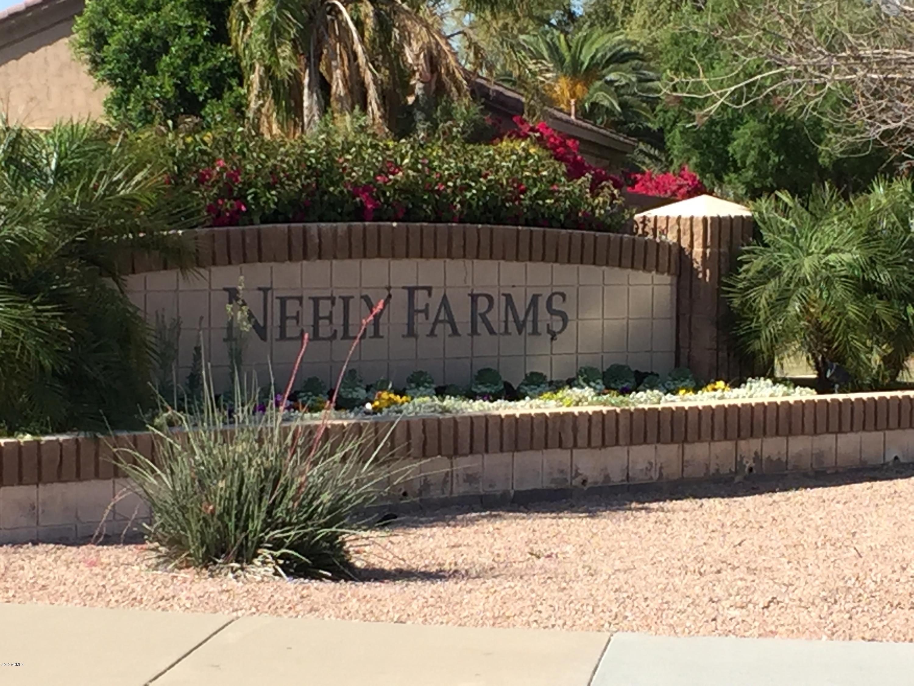 777 East Ranch Road Gilbert, AZ 85296 - Photo 31 of 34 Neely Farms