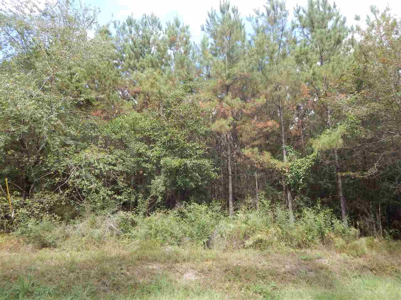 1900 Garcon Point Road Milton, FL 32583 - Photo 1 of 2 Gallery Image 1