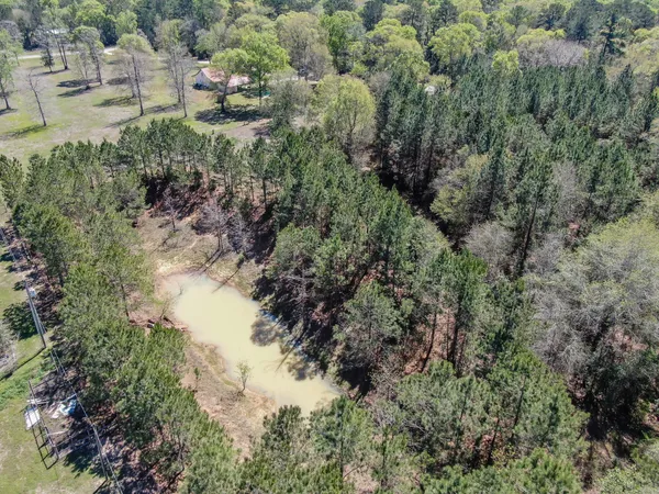 $650,000 | 1780 Farm To Market 3460, Shepherd, TX 77371