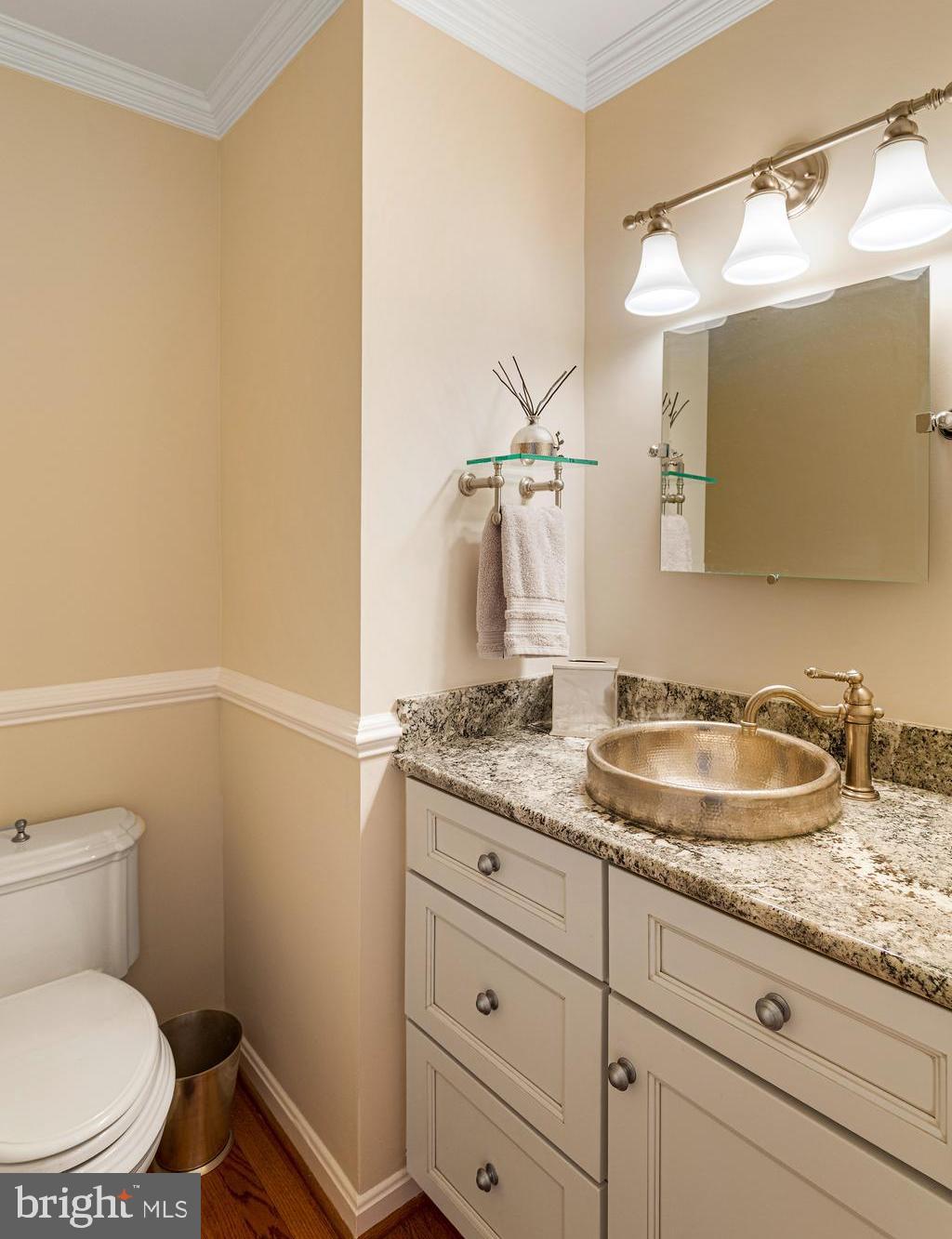 10904 Equestrian Court Reston, VA 20190 - Photo 28 of 81 a bathroom with a granite countertop toilet sink and mirror