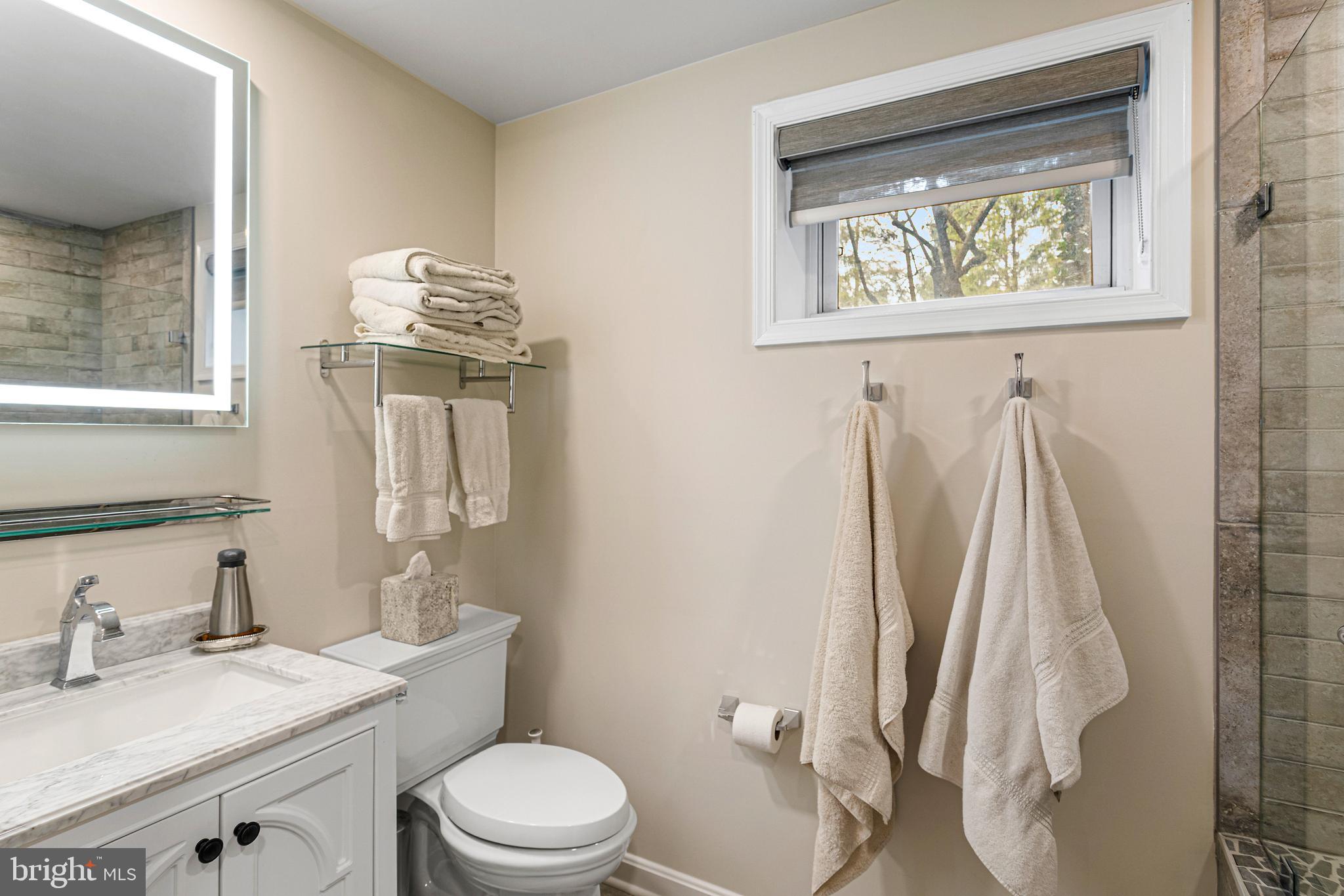 10904 Equestrian Court Reston, VA 20190 - Photo 55 of 81 a bathroom with a sink vanity mirror and toilet