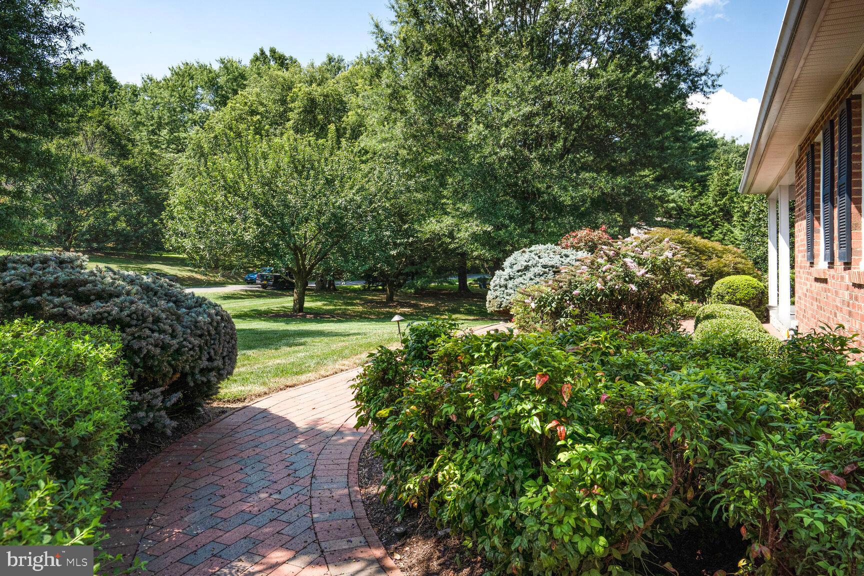 10904 Equestrian Court Reston, VA 20190 - Photo 65 of 81 a view of a park with large trees
