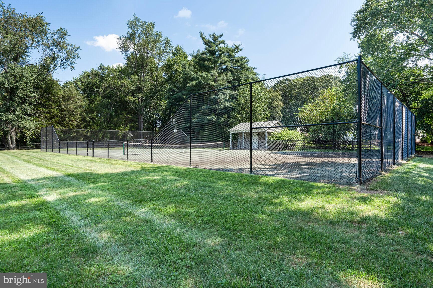 10904 Equestrian Court Reston, VA 20190 - Photo 69 of 81 a view of a yard with a tree