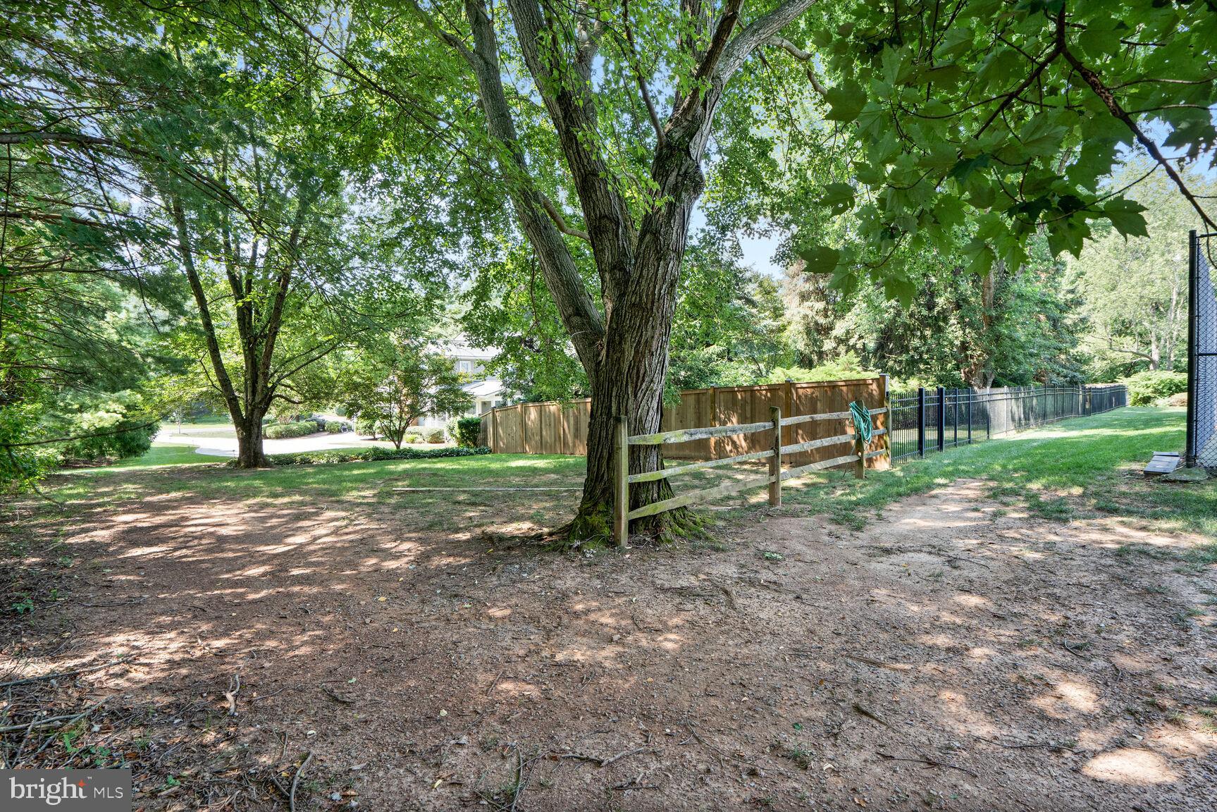 10904 Equestrian Court Reston, VA 20190 - Photo 71 of 81 a backyard of a house with lots of green space