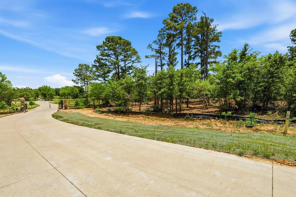 1121 Redbird Grove Road Argyle, TX 76226 - Photo 3 of 29