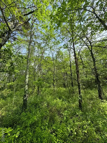 $15,500 | 0 Mallard Road, Licking, MO 65542