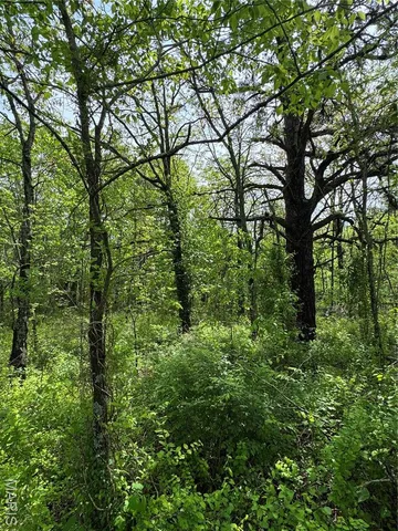 $15,500 | 0 Mallard Road, Licking, MO 65542