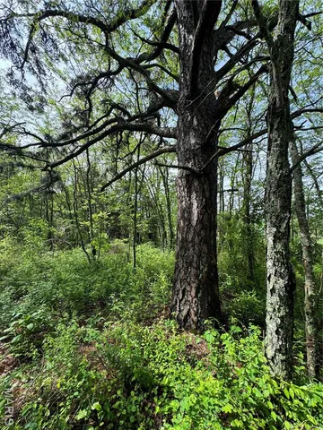 $15,500 | 0 Mallard Road, Licking, MO 65542