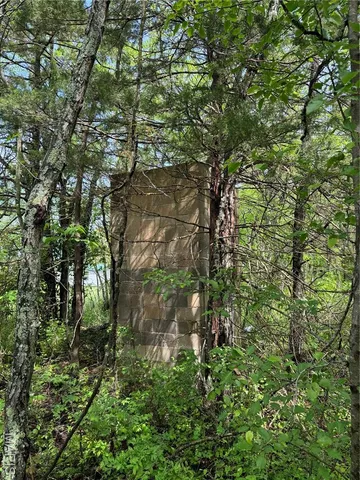 $15,500 | 0 Mallard Road, Licking, MO 65542