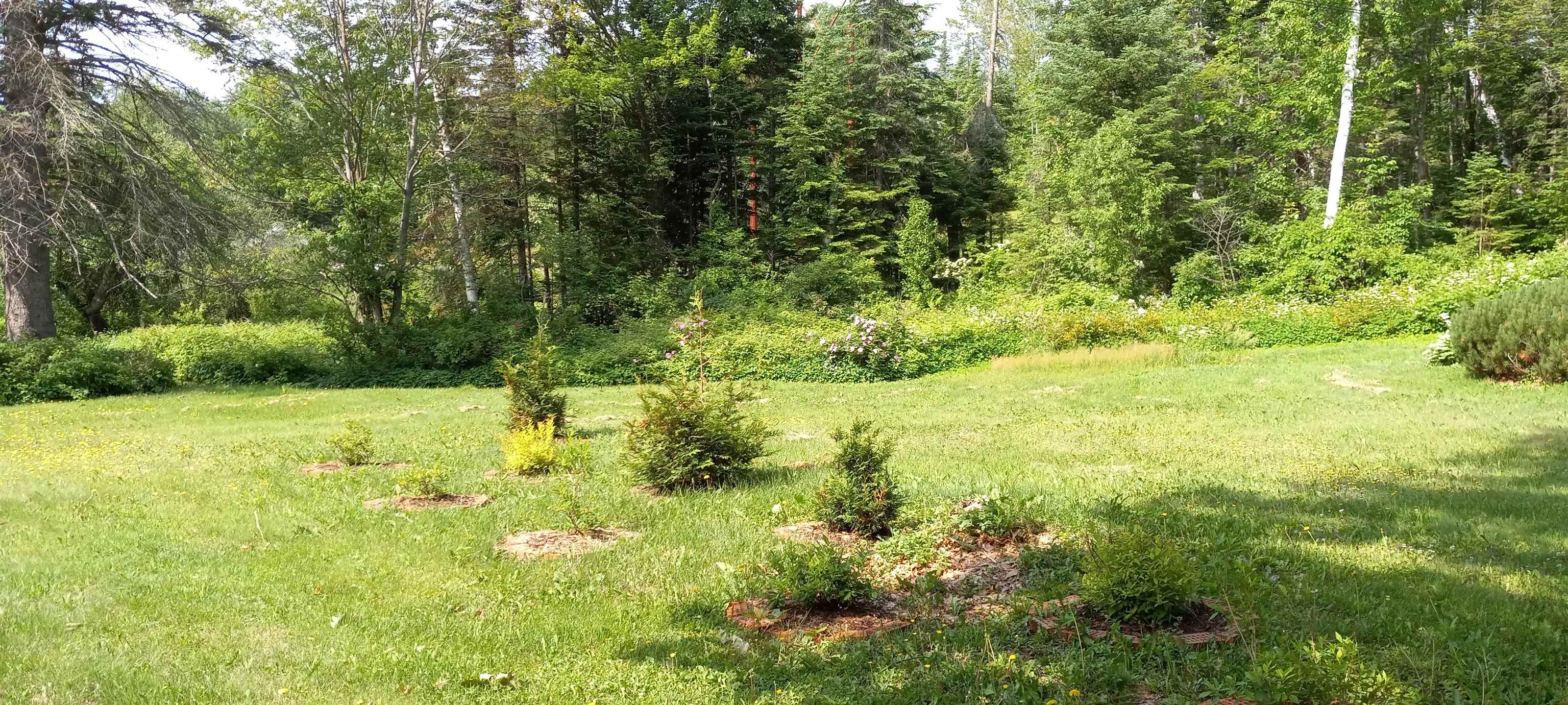 2143 Riverside Drive Berlin, NH 03570 - Photo 27 of 27