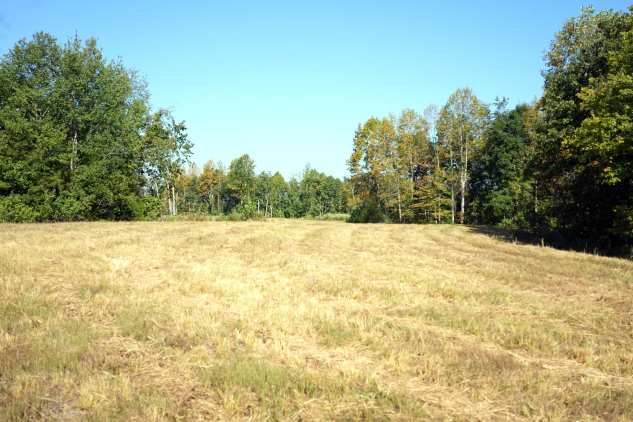 1960 Low Gap Road Sugar Tree, TN 38380 - Photo 21 of 35 Gallery Image 21