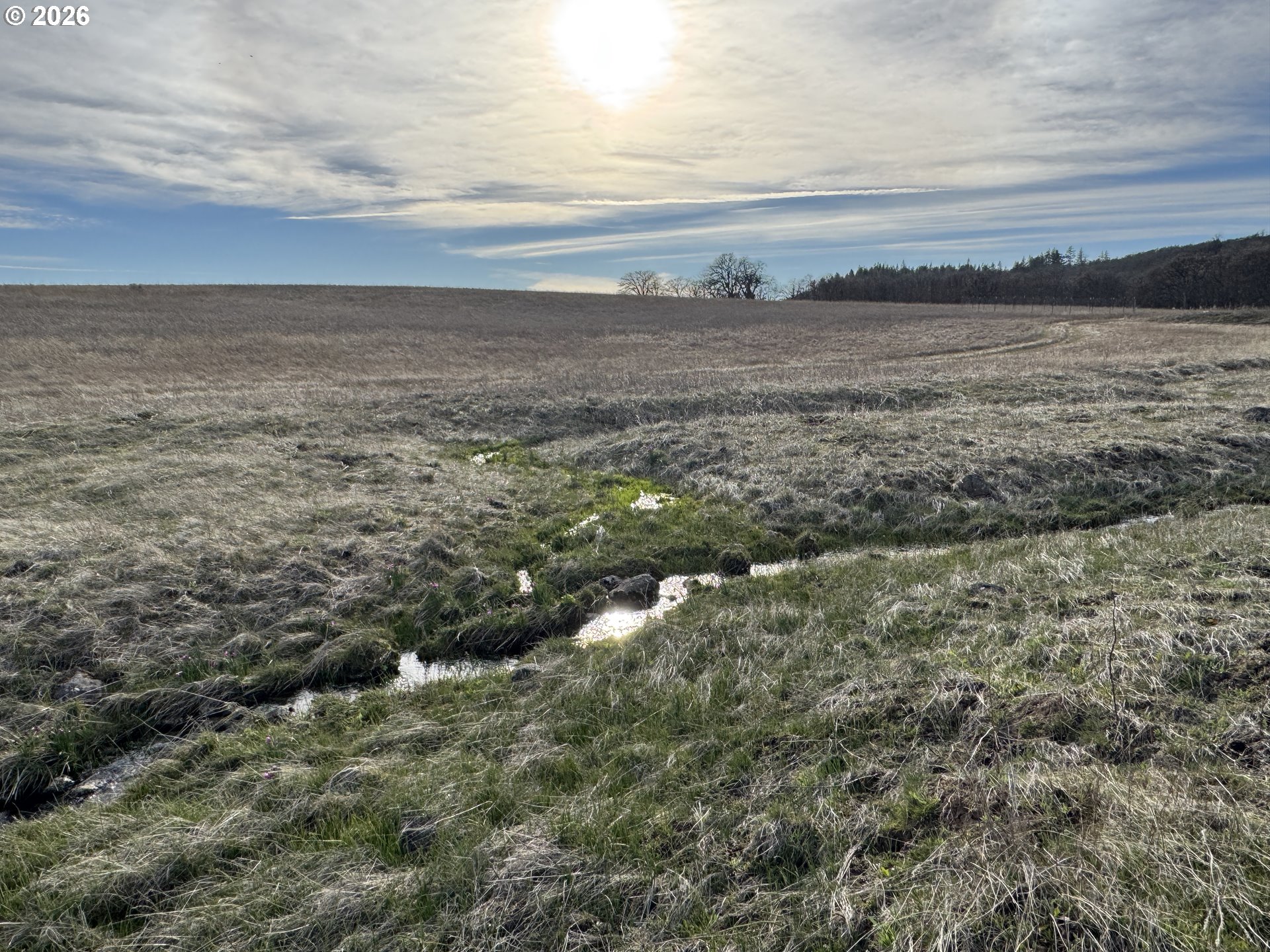 Woodland Road Goldendale, WA 98620 - Photo 12 of 35