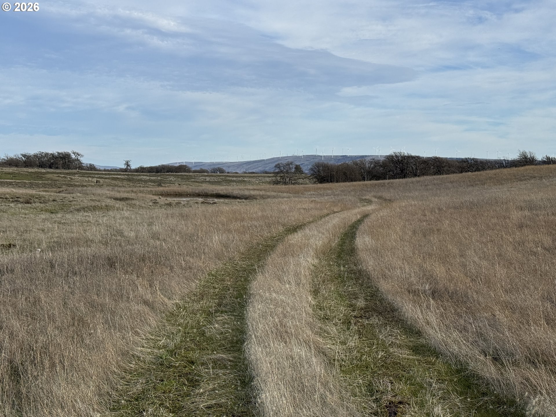 Woodland Road Goldendale, WA 98620 - Photo 13 of 35