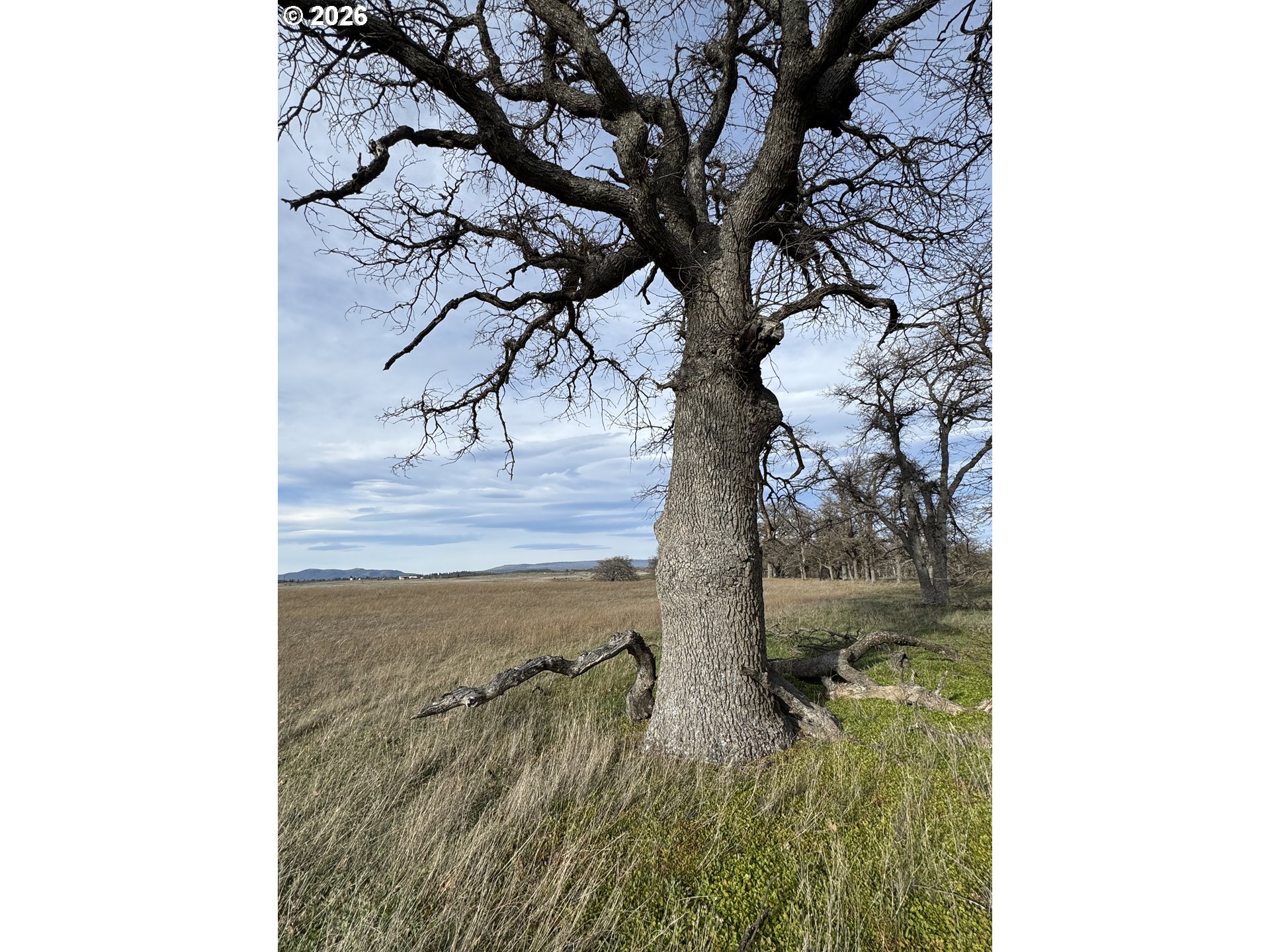 Woodland Road Goldendale, WA 98620 - Photo 18 of 35