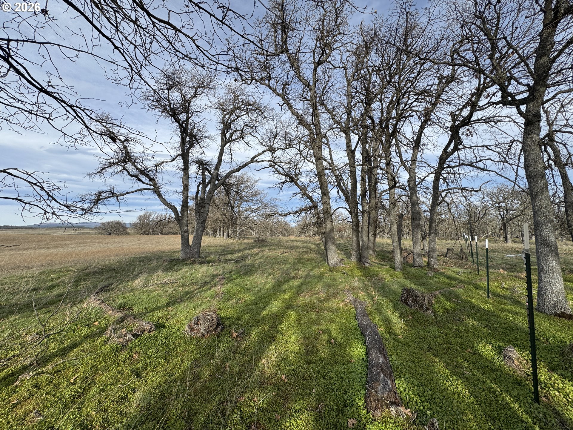 Woodland Road Goldendale, WA 98620 - Photo 20 of 35