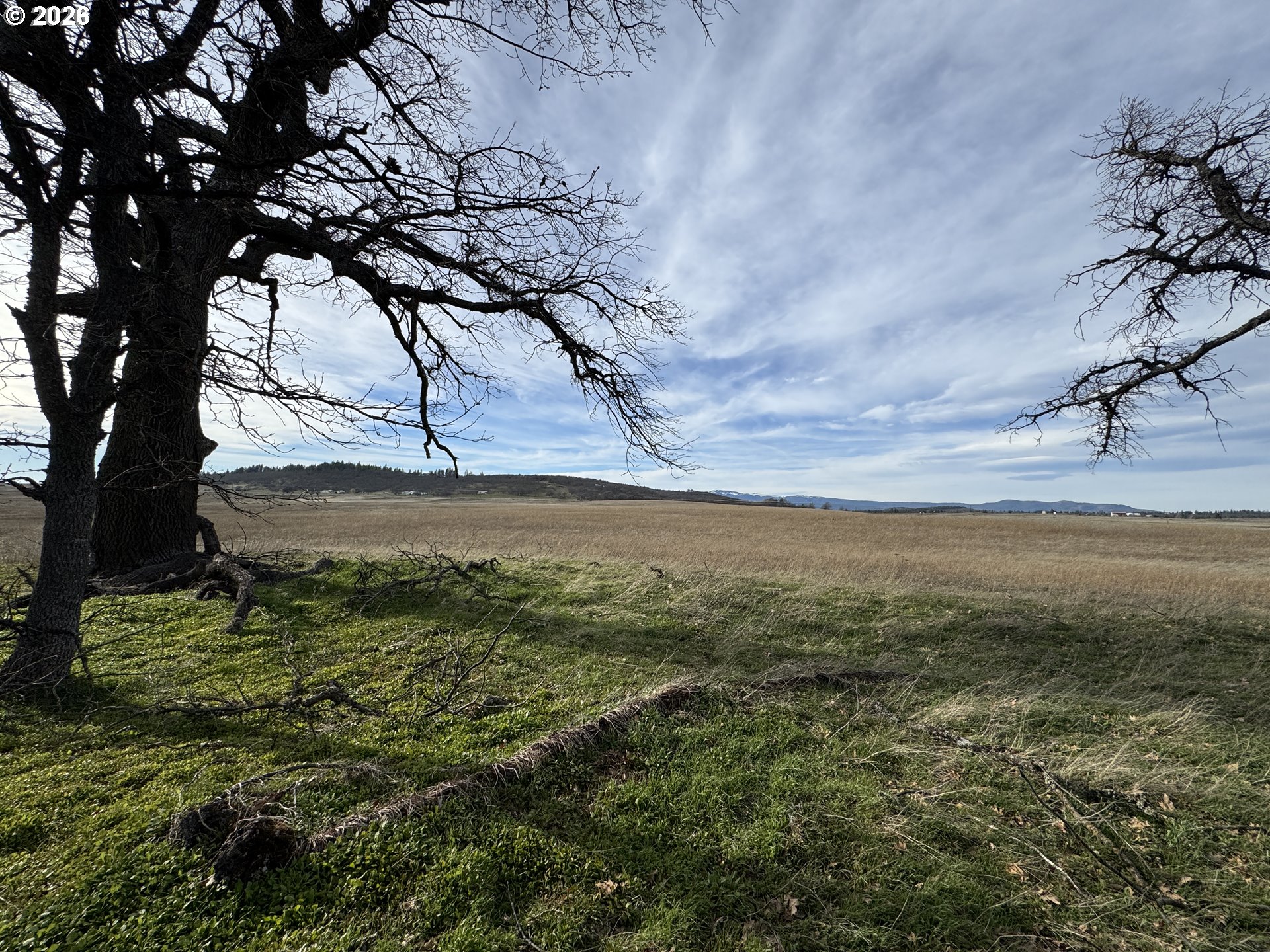Woodland Road Goldendale, WA 98620 - Photo 21 of 35