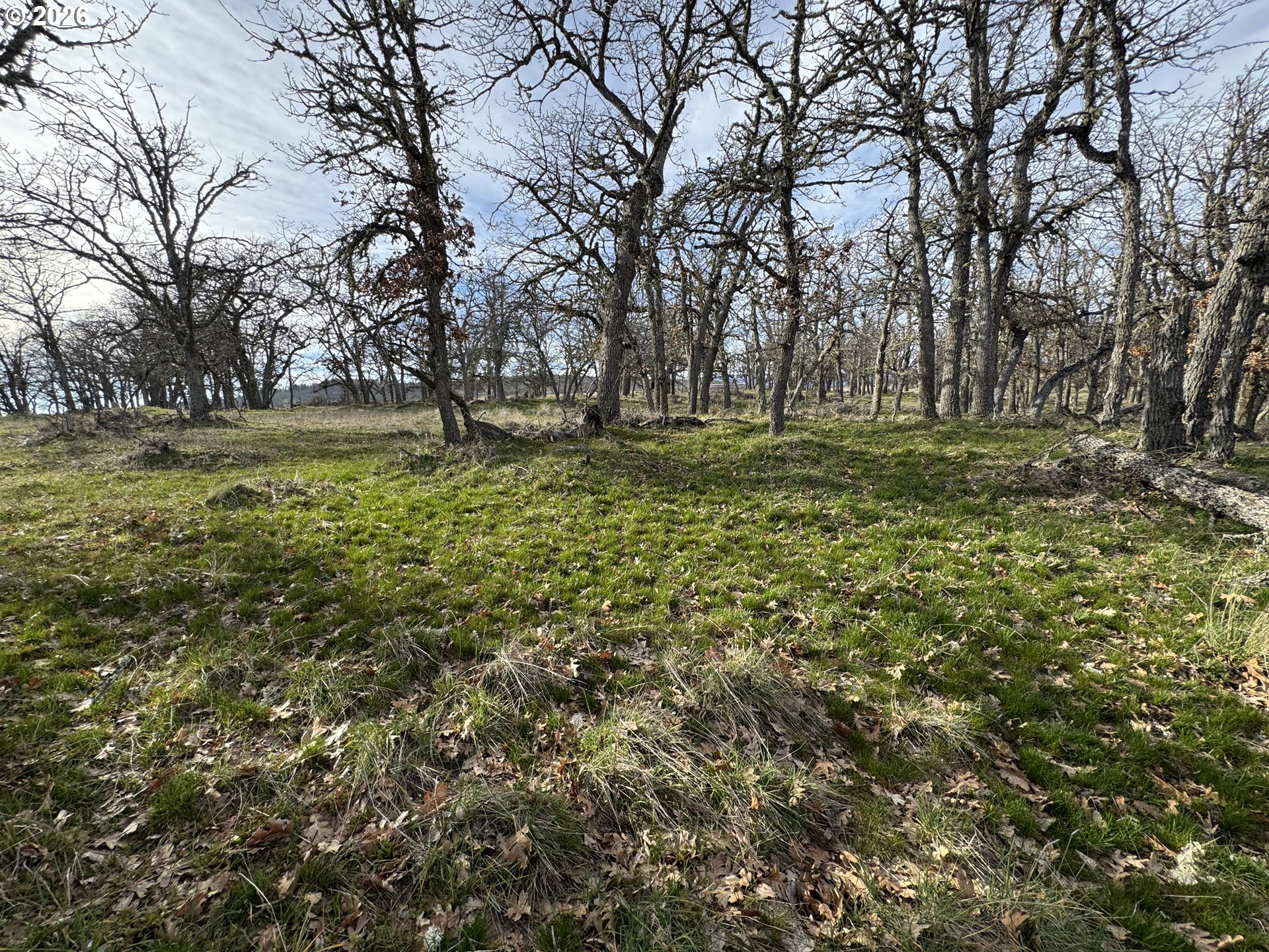 Woodland Road Goldendale, WA 98620 - Photo 22 of 35