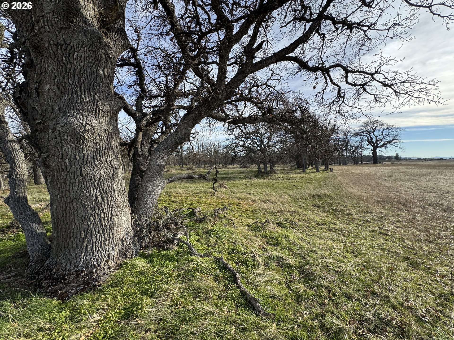 Woodland Road Goldendale, WA 98620 - Photo 24 of 35