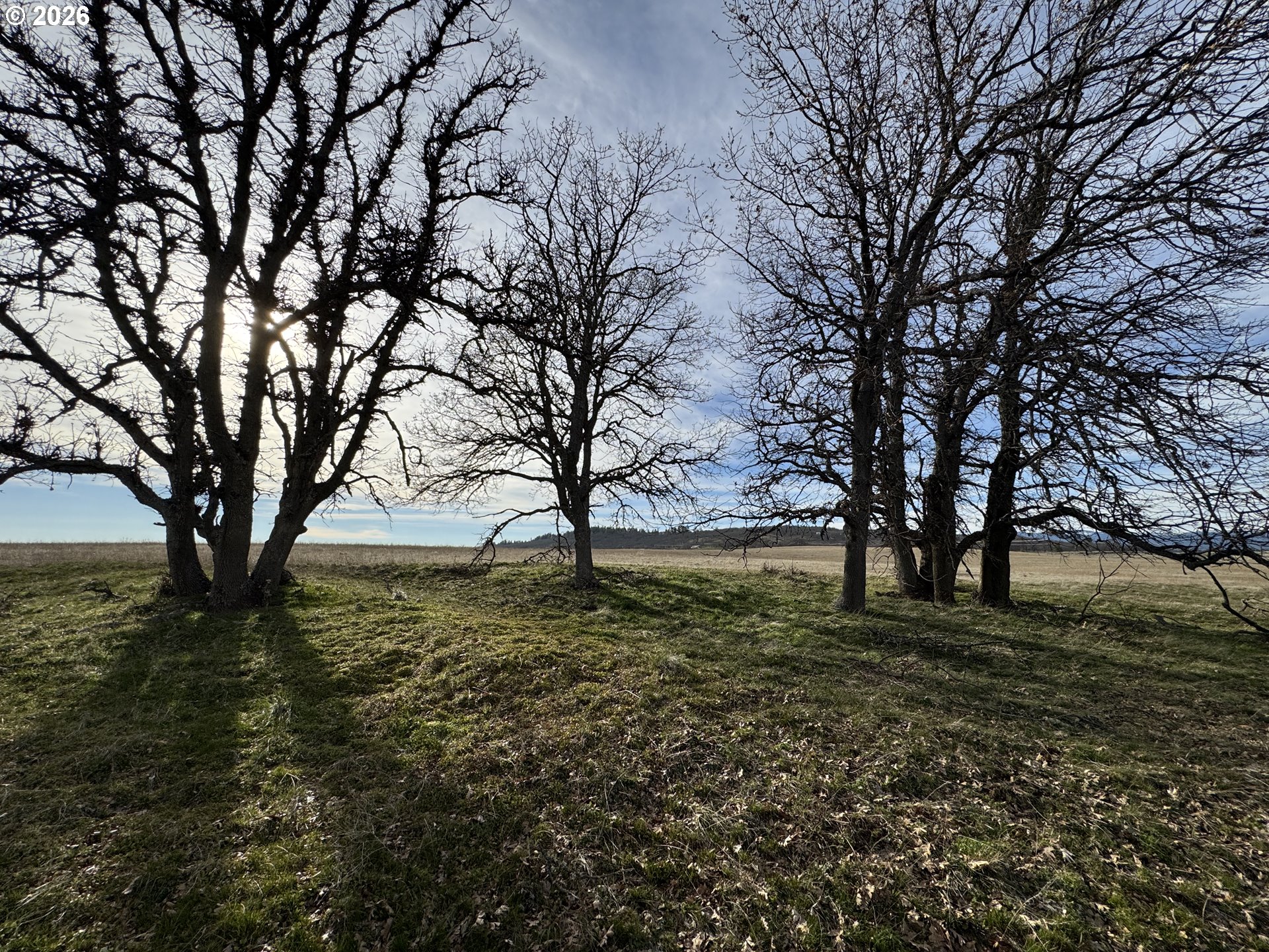 Woodland Road Goldendale, WA 98620 - Photo 25 of 35