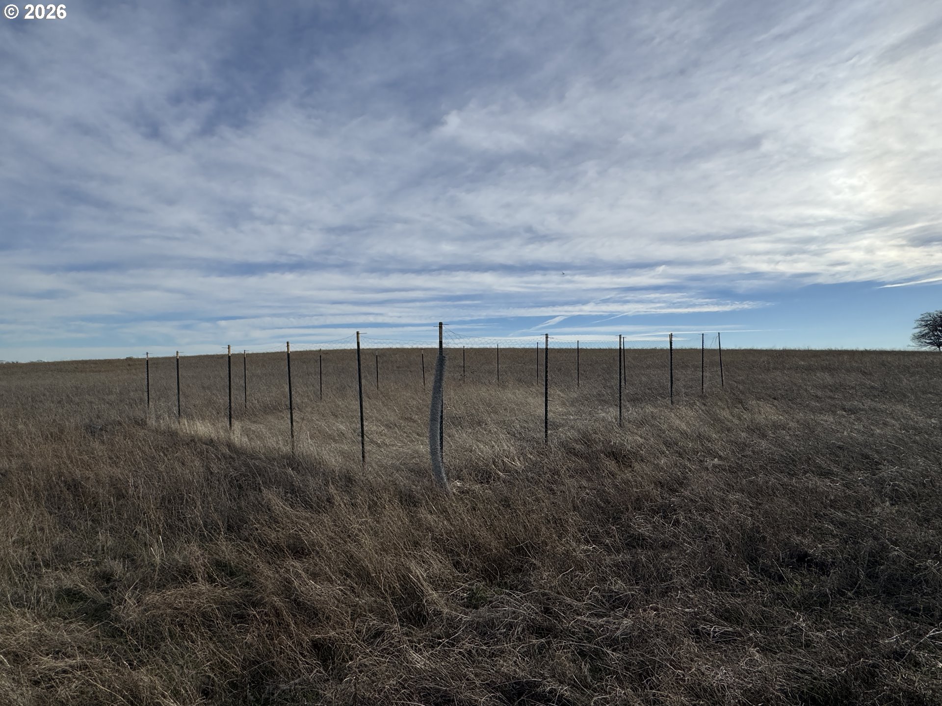 Woodland Road Goldendale, WA 98620 - Photo 32 of 35