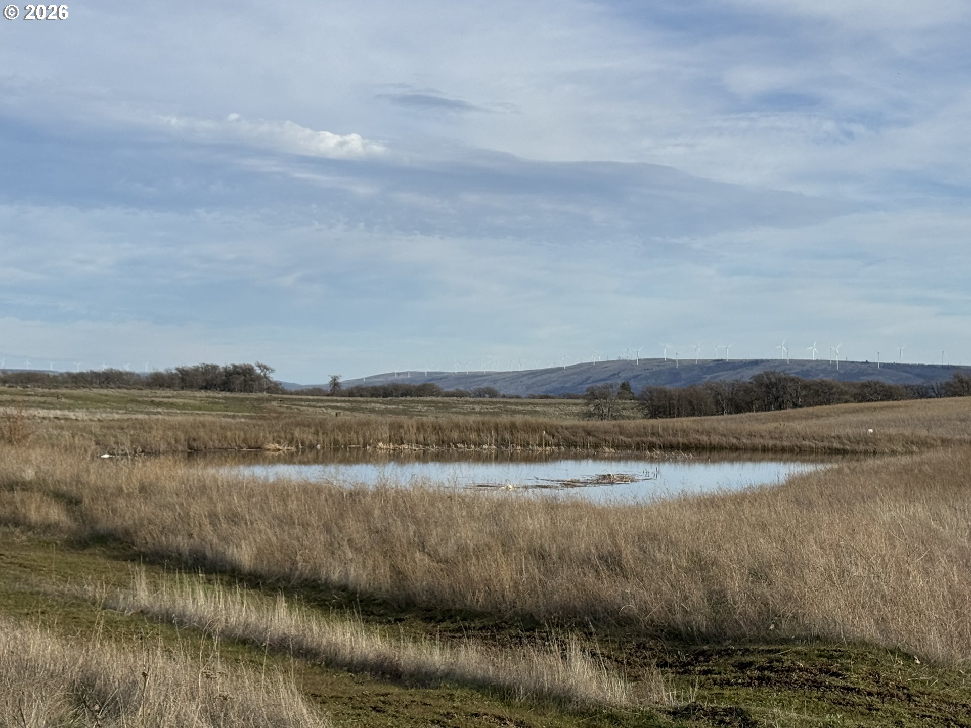Woodland Road Goldendale, WA 98620 - Photo 34 of 35