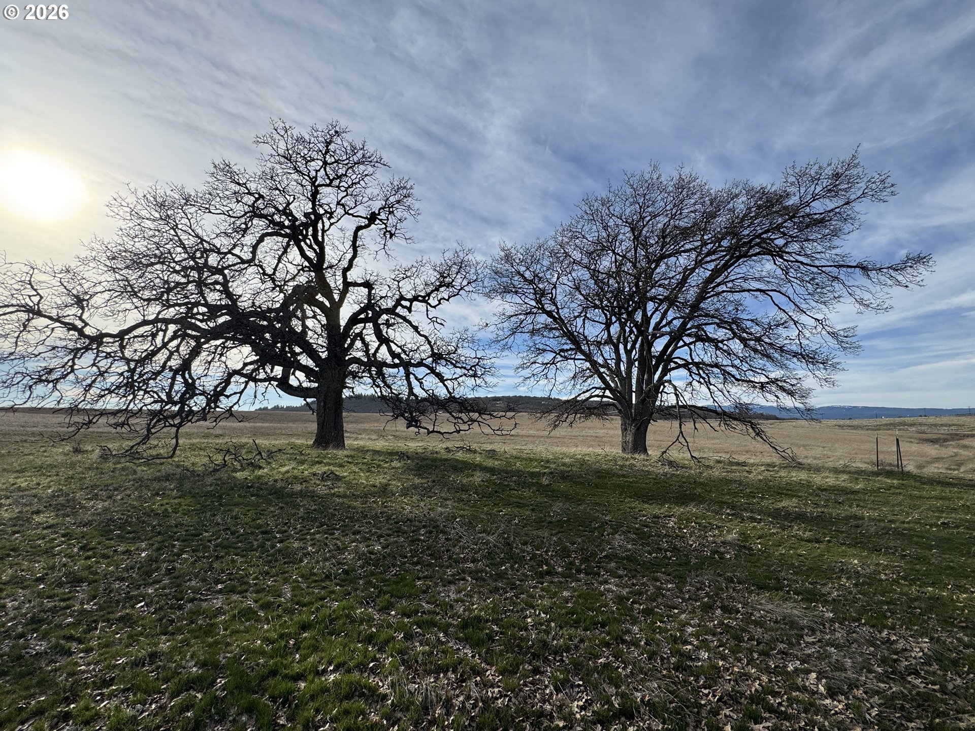 Woodland Road Goldendale, WA 98620 - Photo 5 of 35