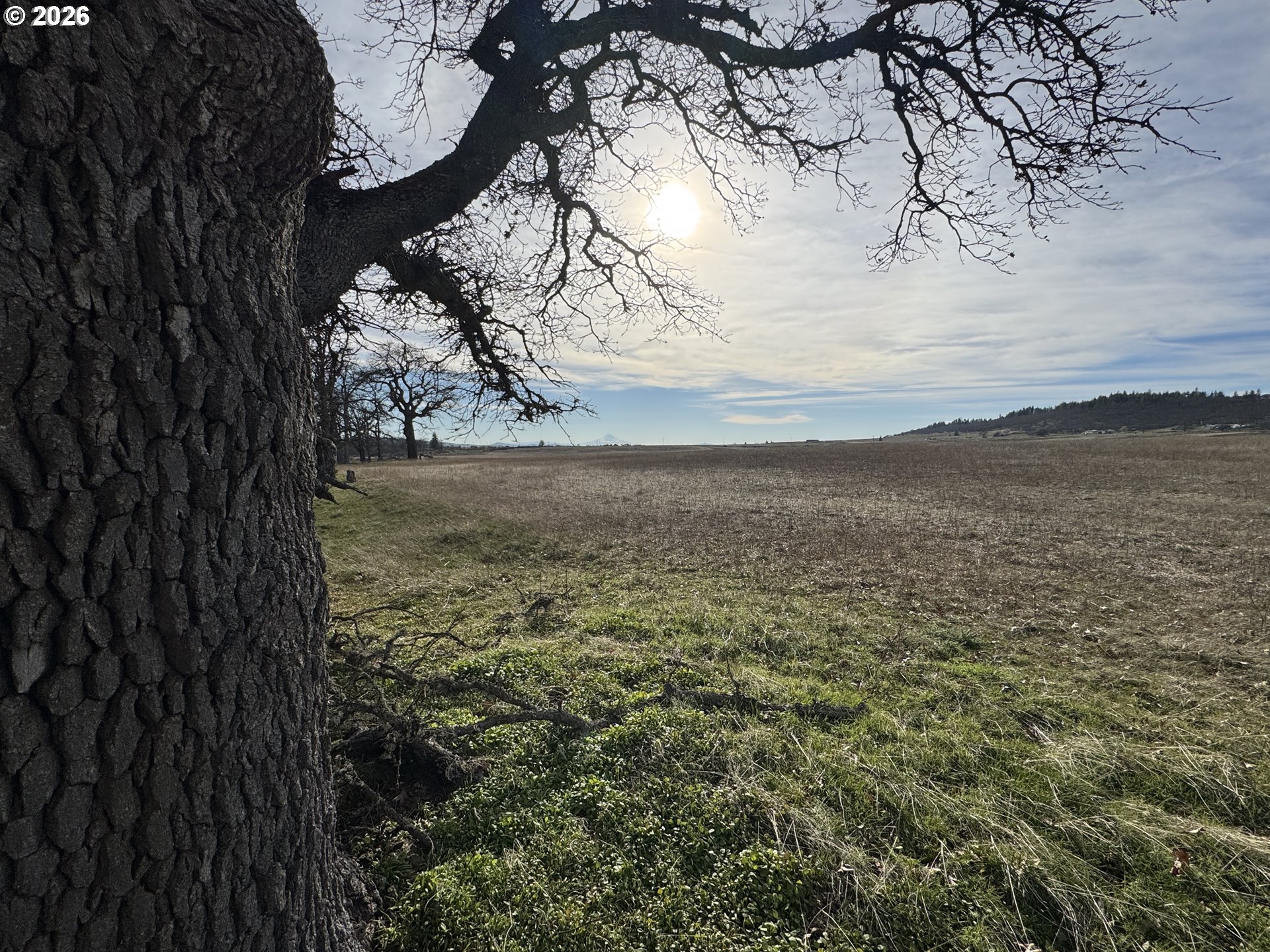 Woodland Road Goldendale, WA 98620 - Photo 6 of 35