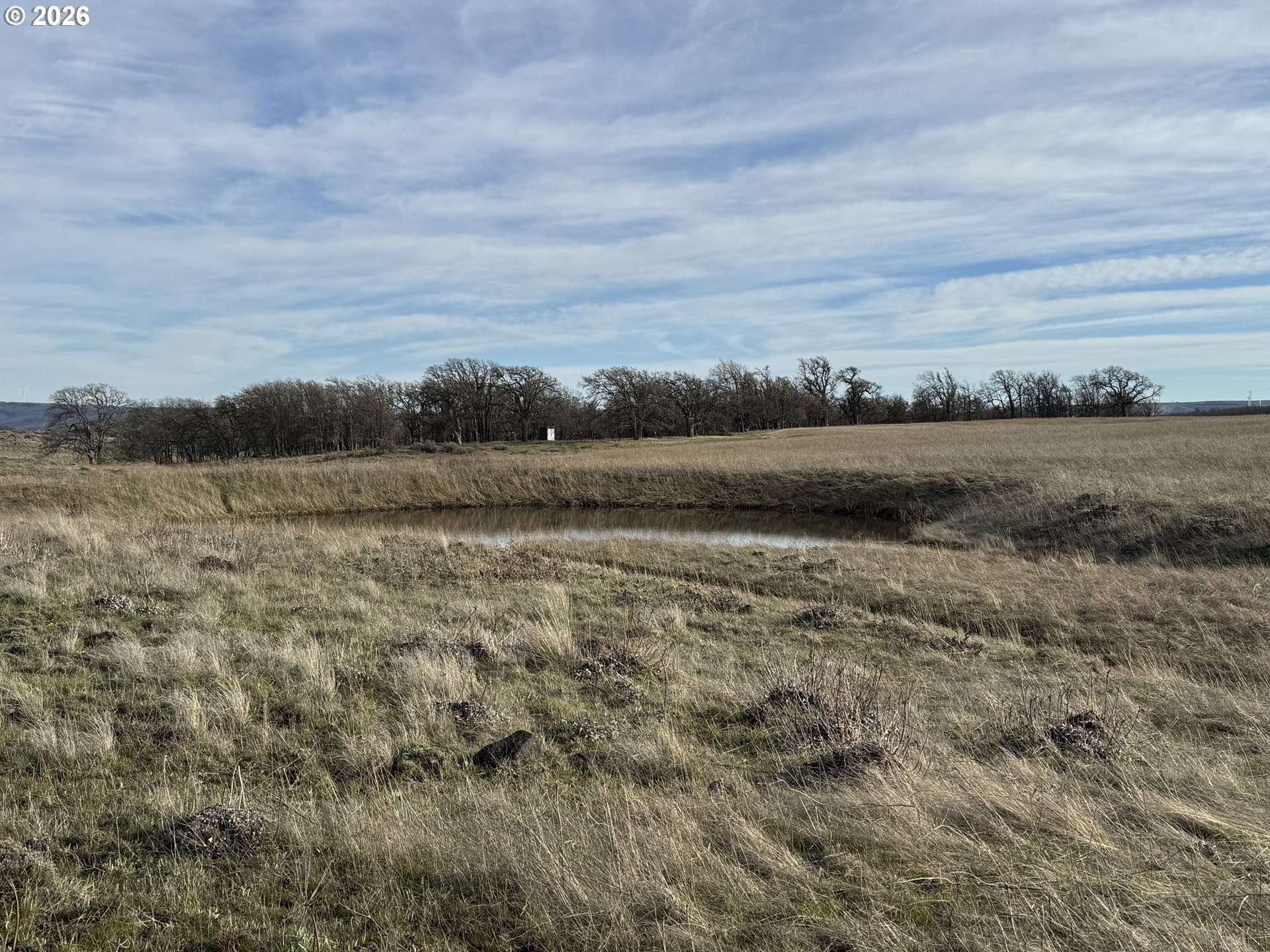 Woodland Road Goldendale, WA 98620 - Photo 7 of 35