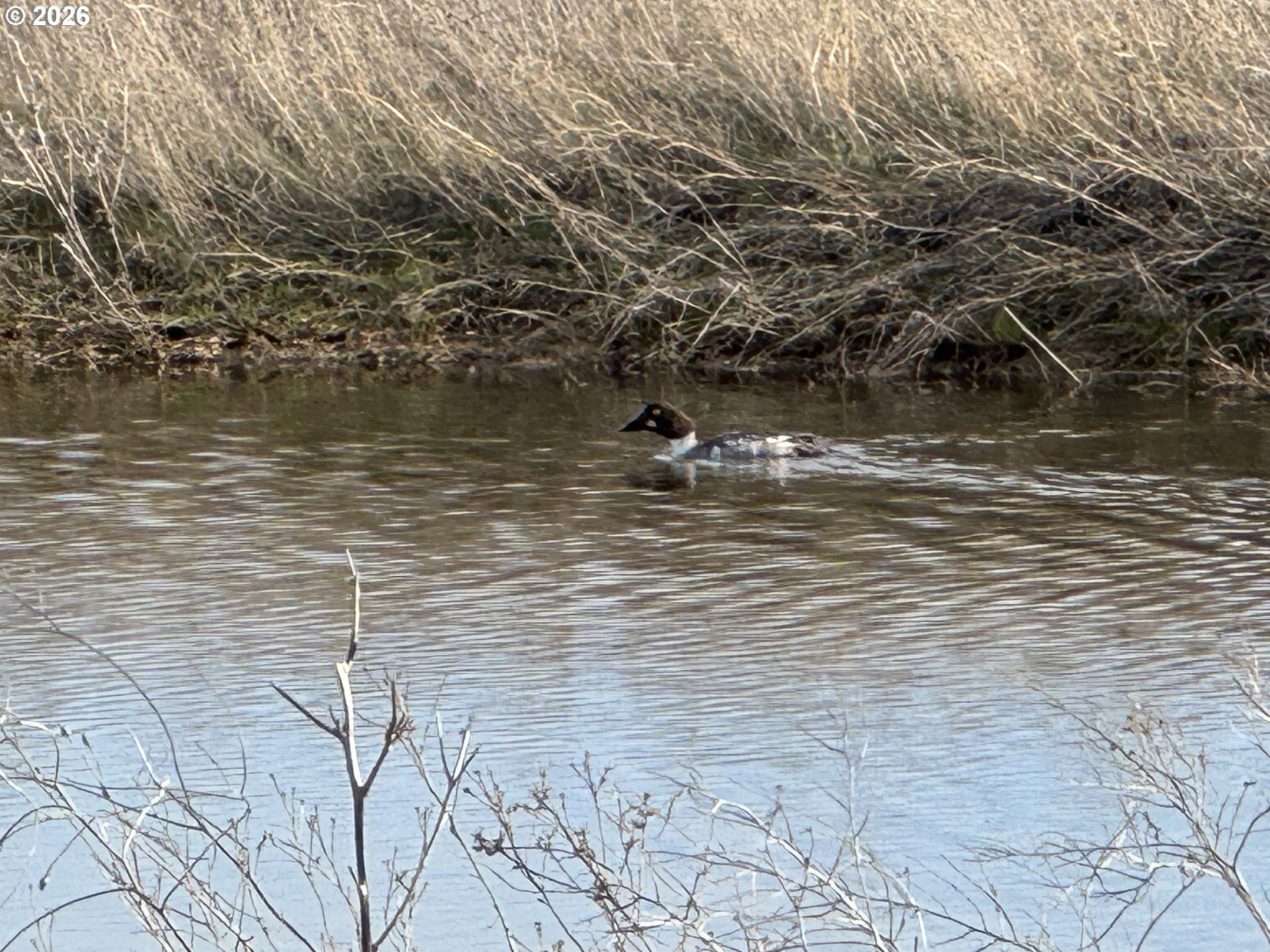 Woodland Road Goldendale, WA 98620 - Photo 9 of 35