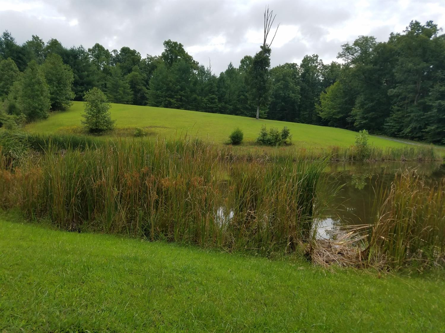 2369 Mitchellsburg Knob Road Parksville, KY 40464 - Photo 15 of 88 Photo 15
