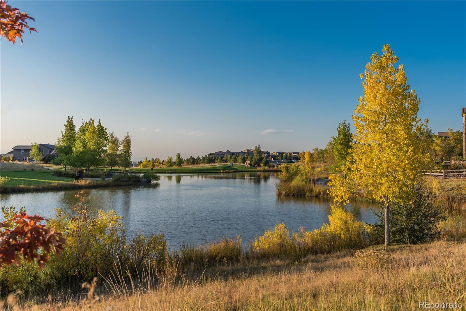 237 Maplehurst Drive Highlands Ranch, CO 80126 - Photo 48 of 49 Gallery Image 48