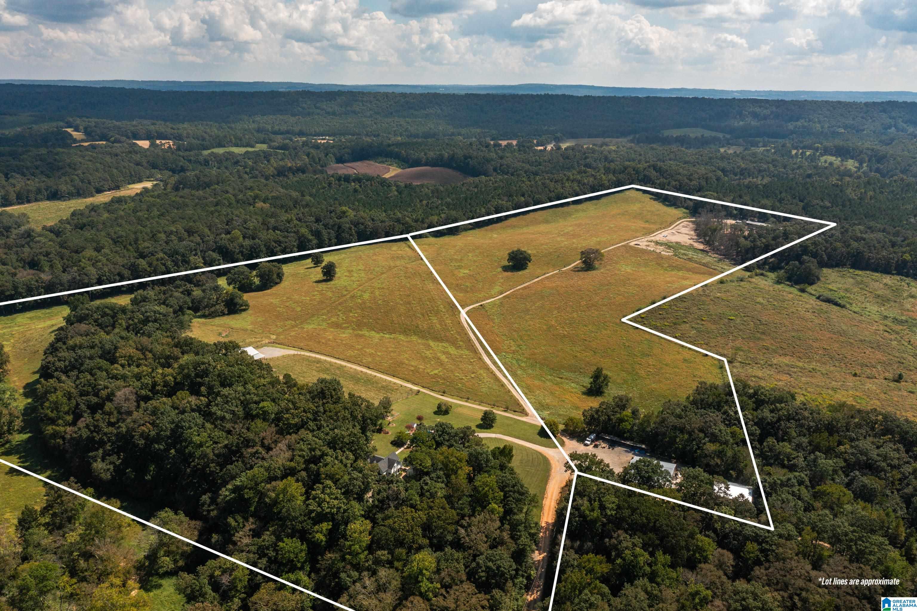 3124 County Road 39 Oneonta, AL 35121 - Photo 7 of 98