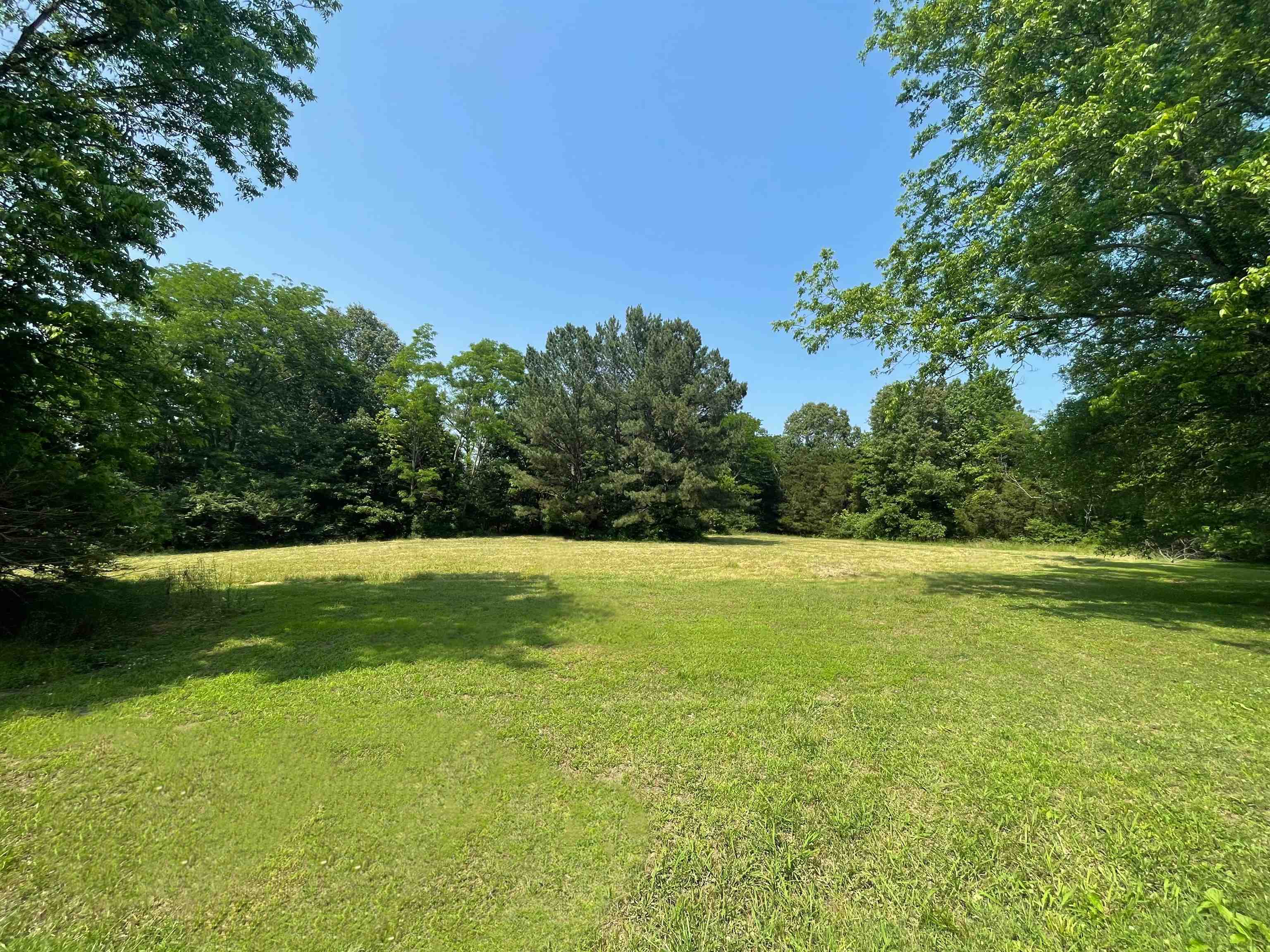 0 Woodbridge Road Somerville, TN 38068 - Photo 2 of 6 a view of a green yard
