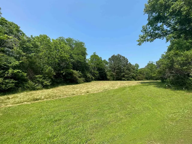 a view of a yard with a house in the background