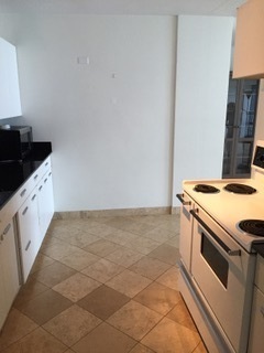 910 North Lake Shore Drive, Unit 2519 Chicago, IL 60611 - Photo 12 of 48