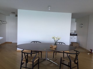 910 North Lake Shore Drive, Unit 2519 Chicago, IL 60611 - Photo 14 of 48