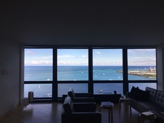 910 North Lake Shore Drive, Unit 2519 Chicago, IL 60611 - Photo 16 of 48