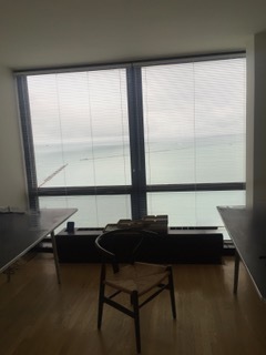 910 North Lake Shore Drive, Unit 2519 Chicago, IL 60611 - Photo 20 of 48