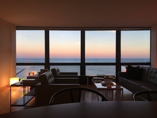 910 North Lake Shore Drive, Unit 2519 Chicago, IL 60611 - Photo 21 of 48