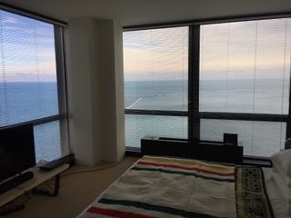 910 North Lake Shore Drive, Unit 2519 Chicago, IL 60611 - Photo 22 of 48