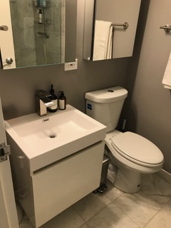 910 North Lake Shore Drive, Unit 2519 Chicago, IL 60611 - Photo 23 of 48