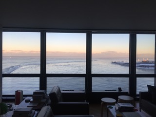 910 North Lake Shore Drive, Unit 2519 Chicago, IL 60611 - Photo 24 of 48