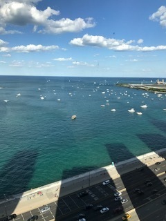 910 North Lake Shore Drive, Unit 2519 Chicago, IL 60611 - Photo 26 of 48